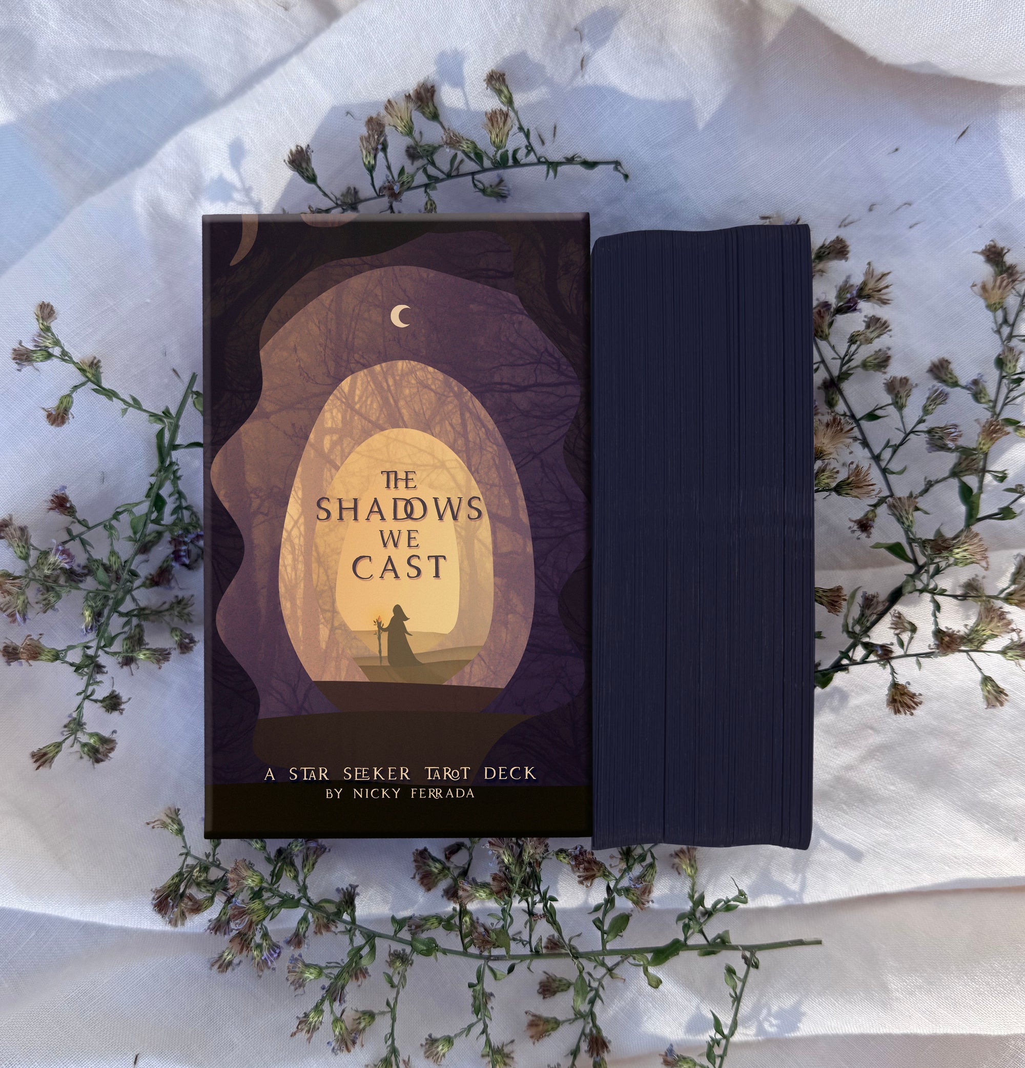 PRE-ORDER The Shadows We Cast: A Star Seeker Tarot Deck